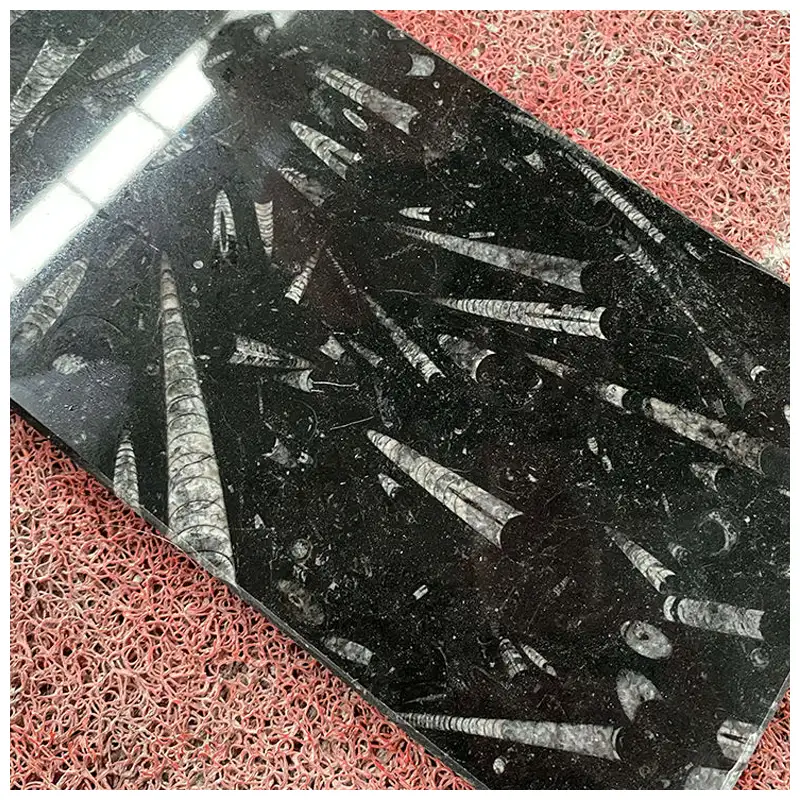 Fossil Black Marble Wall Tiles